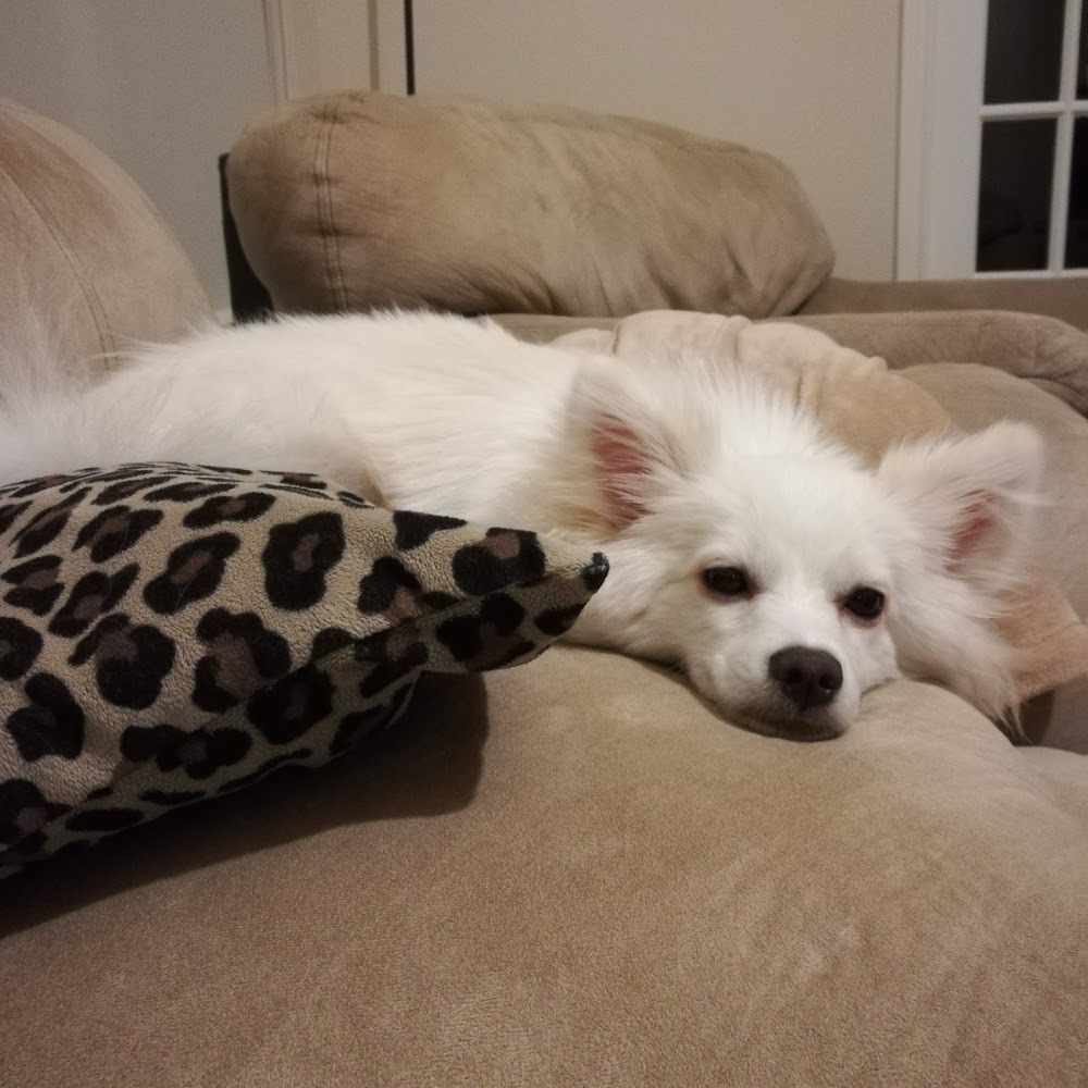 Hi!